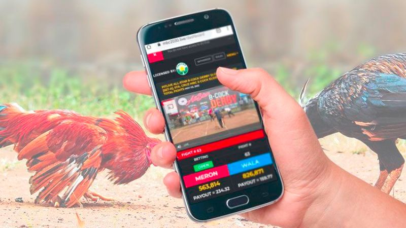 Guide to placing bets on sabonginternational